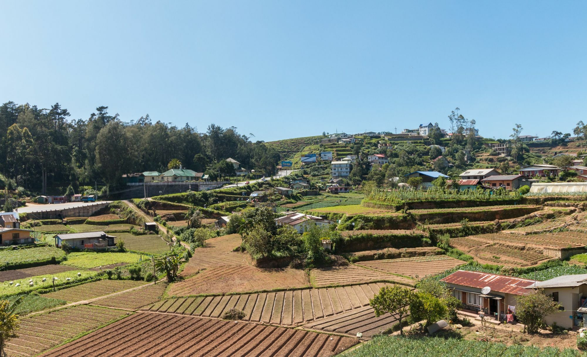 נוארה אליה Aaradhya Villa מראה חיצוני תמונה